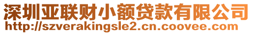 深圳亞聯(lián)財(cái)小額貸款有限公司