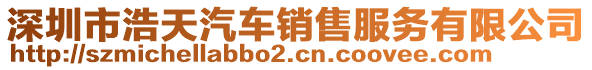 深圳市浩天汽車銷售服務(wù)有限公司