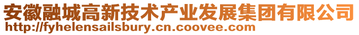 安徽融城高新技術(shù)產(chǎn)業(yè)發(fā)展集團(tuán)有限公司