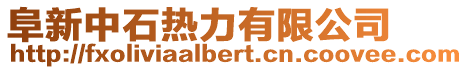 阜新中石熱力有限公司