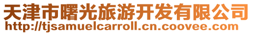 天津市曙光旅游開發有限公司