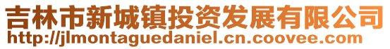 吉林市新城鎮投資發展有限公司