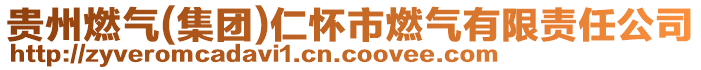 貴州燃?xì)?集團(tuán))仁懷市燃?xì)庥邢挢?zé)任公司