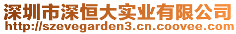 深圳市深恒大實(shí)業(yè)有限公司