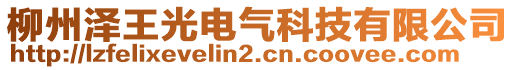 柳州澤王光電氣科技有限公司