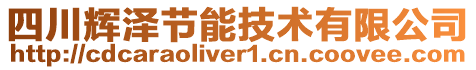 四川輝澤節能技術有限公司