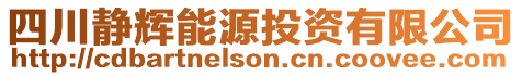 四川靜輝能源投資有限公司