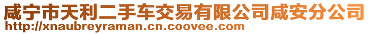咸寧市天利二手車交易有限公司咸安分公司