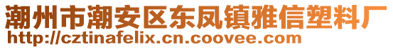 潮州市潮安區(qū)東鳳鎮(zhèn)雅信塑料廠