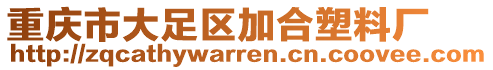 重慶市大足區(qū)加合塑料廠