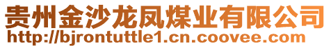 貴州金沙龍鳳煤業有限公司