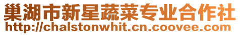 巢湖市新星蔬菜專業合作社