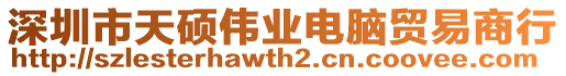 深圳市天碩偉業(yè)電腦貿(mào)易商行