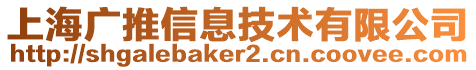 上海廣推信息技術(shù)有限公司