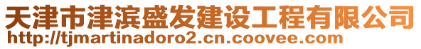 天津市津濱盛發(fā)建設(shè)工程有限公司