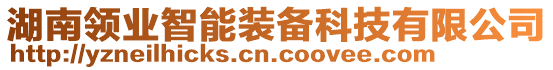 湖南領(lǐng)業(yè)智能裝備科技有限公司