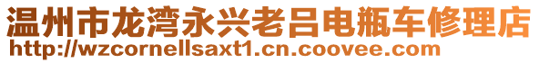 溫州市龍灣永興老呂電瓶車修理店