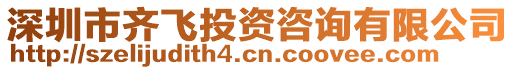 深圳市齊飛投資咨詢有限公司