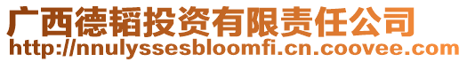 廣西德韜投資有限責(zé)任公司