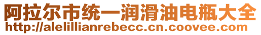 阿拉爾市統(tǒng)一潤滑油電瓶大全