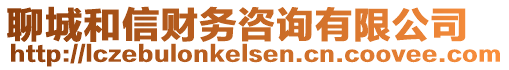 聊城和信財務(wù)咨詢有限公司