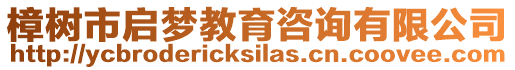 樟樹市啟夢教育咨詢有限公司