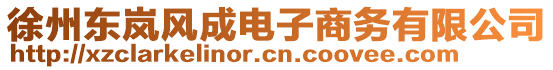 徐州東嵐風(fēng)成電子商務(wù)有限公司