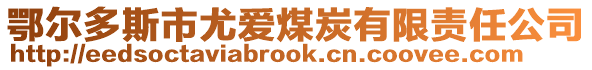 鄂爾多斯市尤愛煤炭有限責任公司