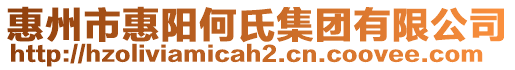 惠州市惠陽何氏集團有限公司