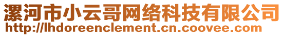 漯河市小云哥網絡科技有限公司