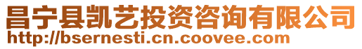 昌寧縣凱藝投資咨詢有限公司