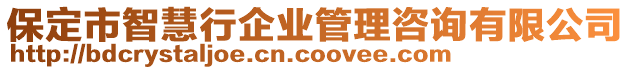 保定市智慧行企業(yè)管理咨詢有限公司