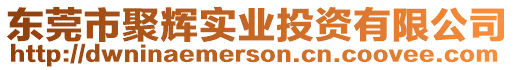 東莞市聚輝實(shí)業(yè)投資有限公司