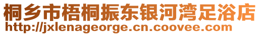 桐鄉(xiāng)市梧桐振東銀河灣足浴店