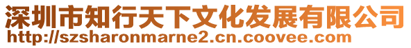 深圳市知行天下文化發展有限公司