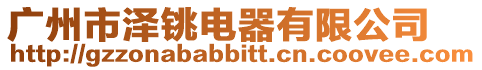 廣州市澤銚電器有限公司
