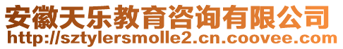 安徽天樂教育咨詢有限公司