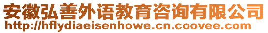 安徽弘善外語教育咨詢有限公司