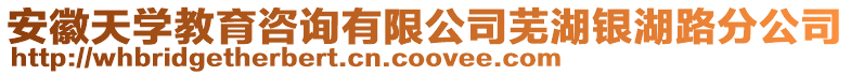 安徽天學教育咨詢有限公司蕪湖銀湖路分公司
