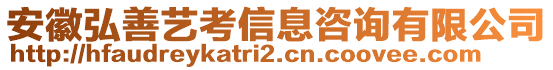 安徽弘善藝考信息咨詢有限公司