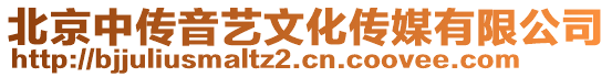 北京中傳音藝文化傳媒有限公司