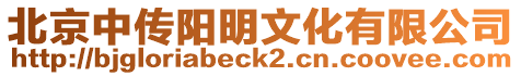 北京中傳陽明文化有限公司