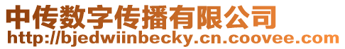 中傳數(shù)字傳播有限公司