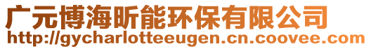 廣元博海昕能環(huán)保有限公司