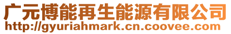 廣元博能再生能源有限公司