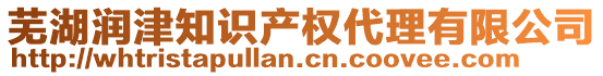 蕪湖潤津知識產(chǎn)權(quán)代理有限公司