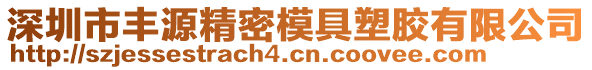 深圳市豐源精密模具塑膠有限公司