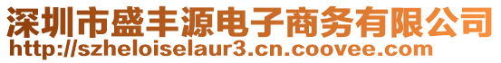 深圳市盛豐源電子商務(wù)有限公司