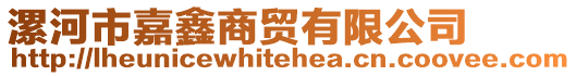 漯河市嘉鑫商貿(mào)有限公司