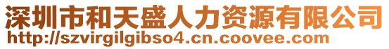 深圳市和天盛人力資源有限公司